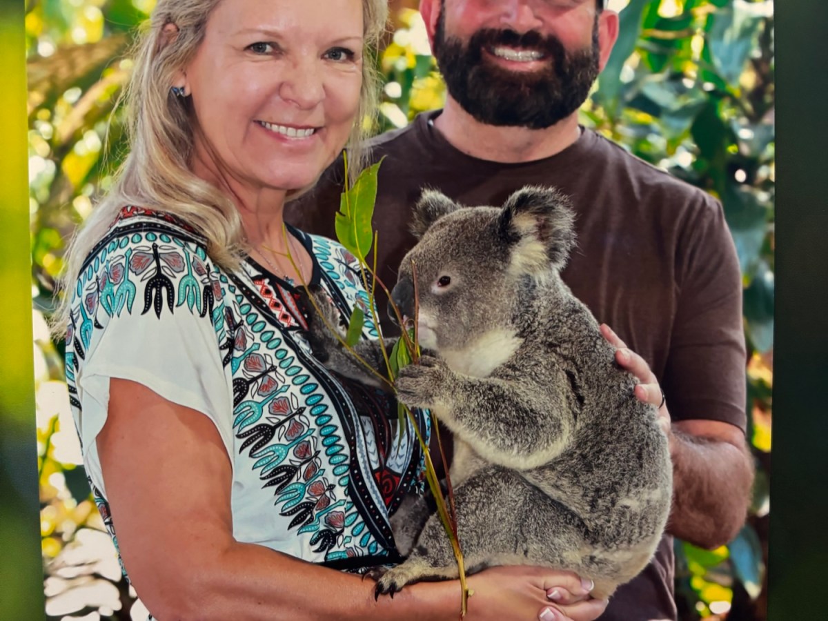 Koala Kare