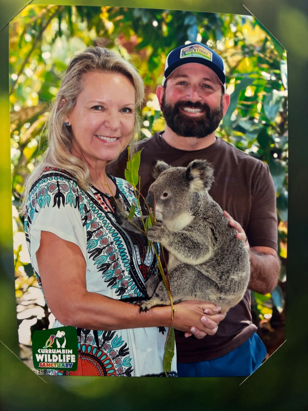 Koala Kare